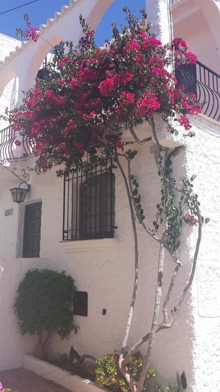 El Capistrano Sur 2*